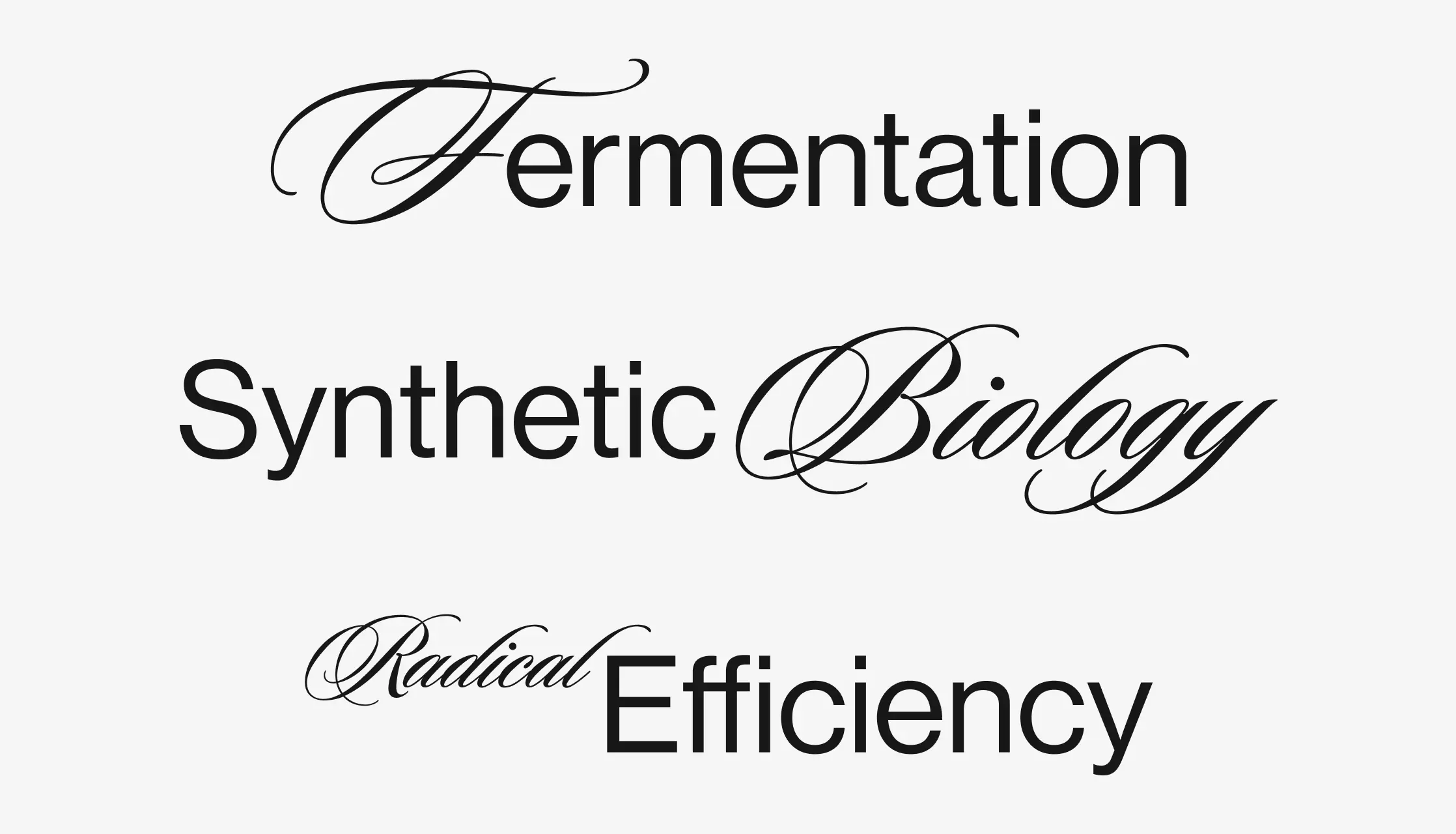 Placebo brands portfolio