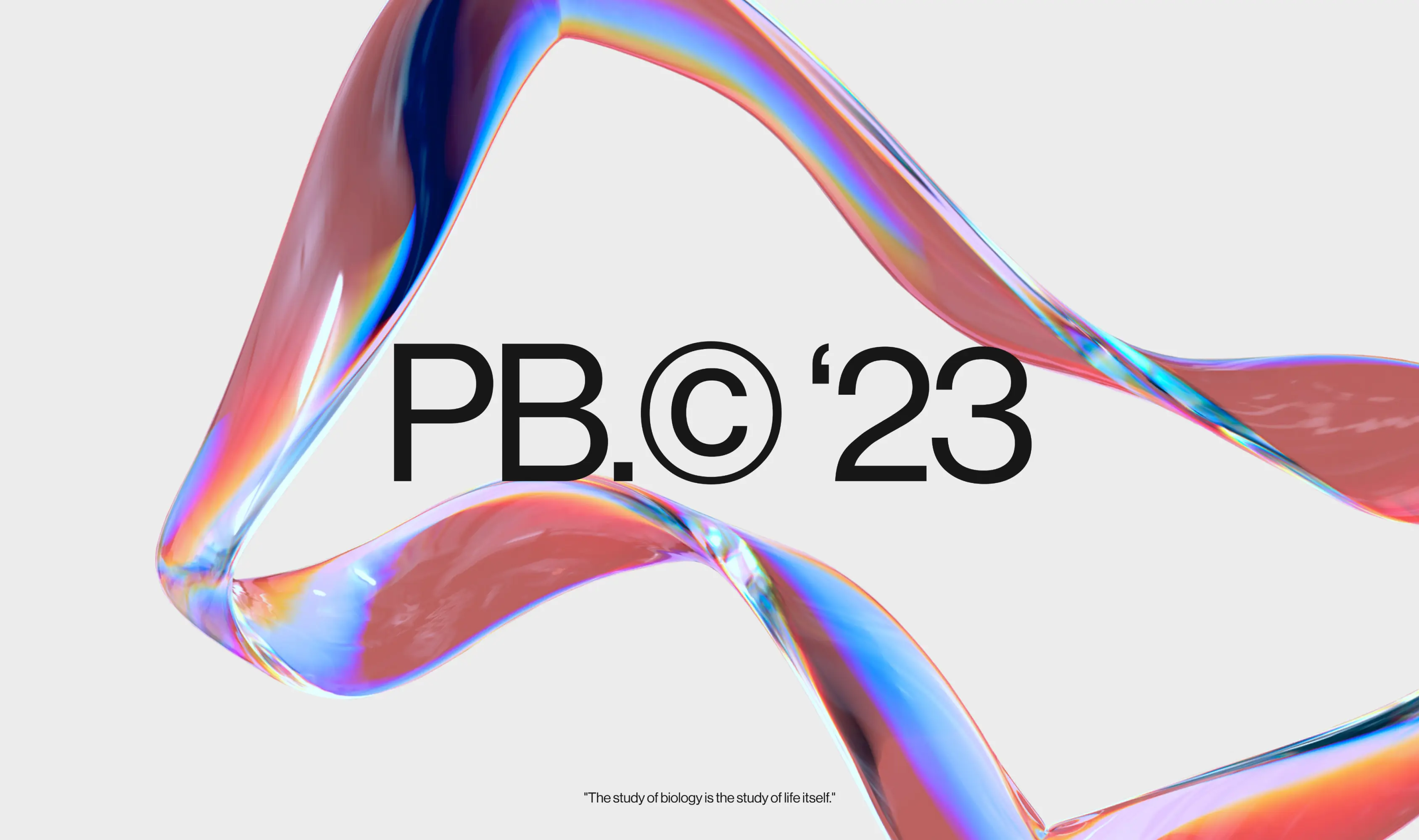 Placebo brands portfolio
