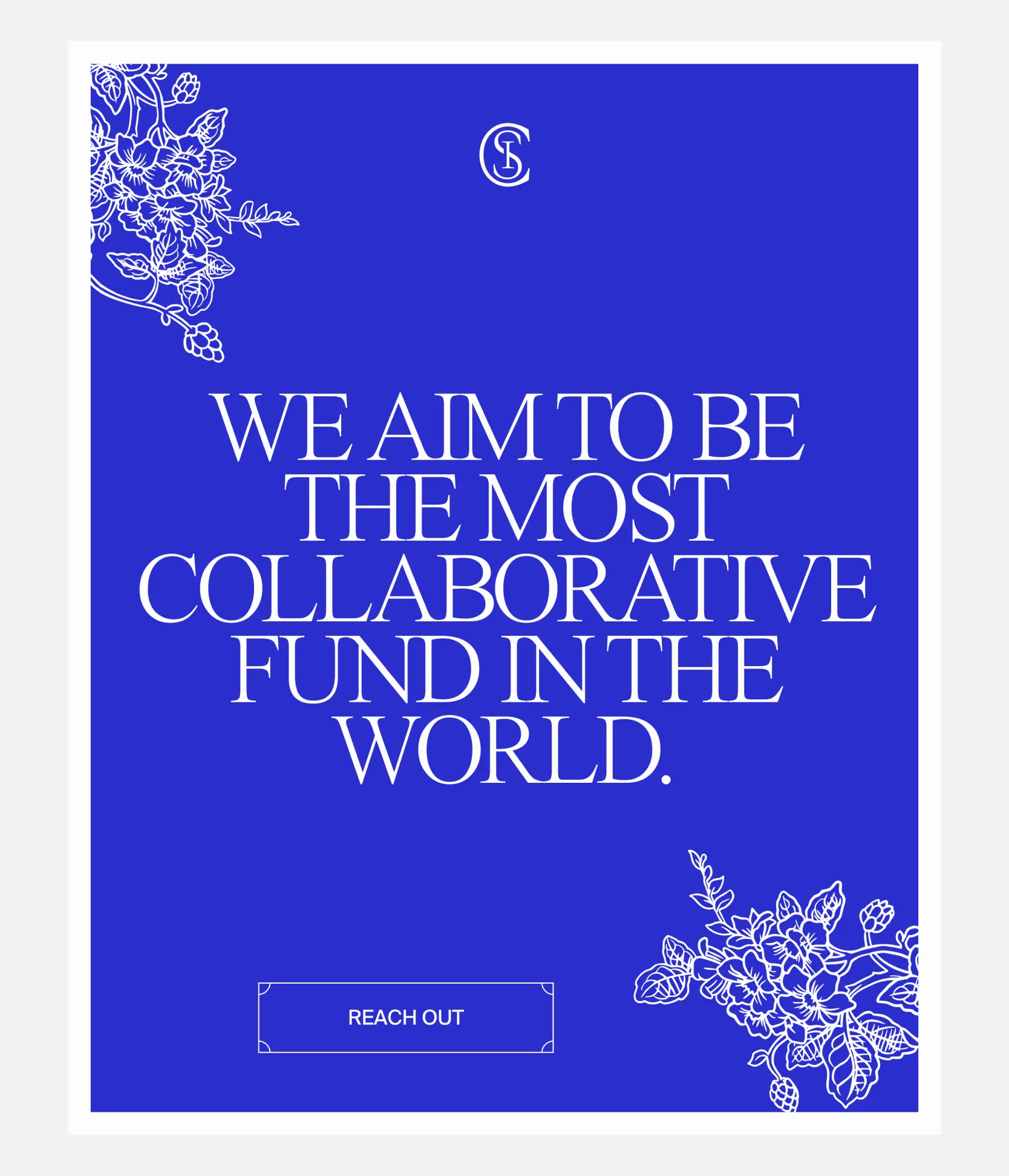 Placebo brands portfolio